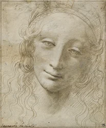 Testa di una donna