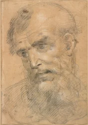 Testa di uomo barbuto (recto); Studio per una sacra conversazione (verso)