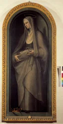 Immagine sconosciuta