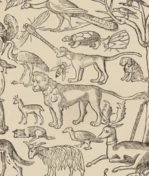 Essempio di ricami, pagina 13 recto, 1530