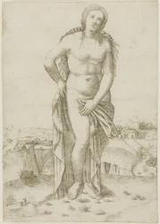 Venere