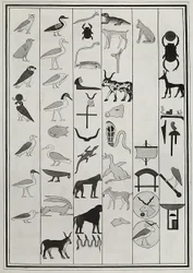 Disegni delle decorazioni all