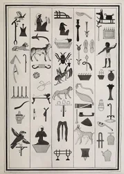 Disegni delle decorazioni all