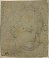 Testa di bambino