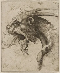 Testa di una Chimera