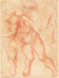 Studi di un nudo maschile