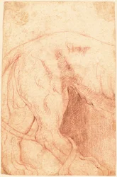 Frammento di un Bassorilievo di Leone (verso)