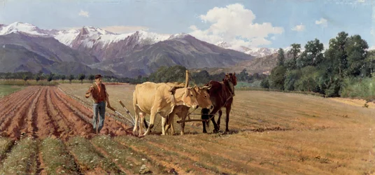 Aratura
