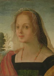 Ritratto di una giovane ragazza