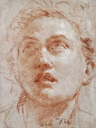 Testa di un uomo che guarda in alto