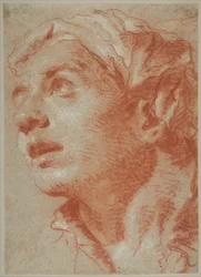 Testa di giovane uomo di tre quarti