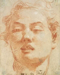 Testa di un giovane uomo