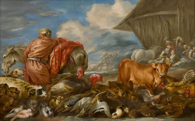 Gli animali che entrano nell