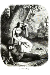 Decameron - Giorno 4, racconto 7 - La foglia di salvia