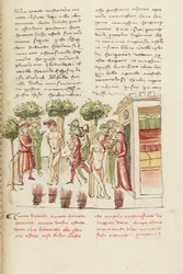 Decameron, La giovane prigioniera - Restituta Bolgaro e Giari di Procida alla gogna , Quinta giornata, racconto 6.