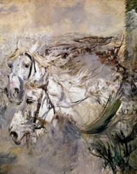 Due cavalli bianchi