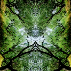 Innaturale 75