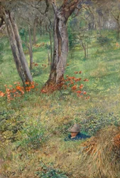 Un nascondiglio nel bosco