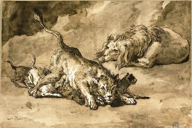 Leone, leonessa e cuccioli