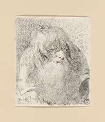 Vecchio con barba e capelli lunghi, dalla Raccolta di Teste (Collezione di teste)