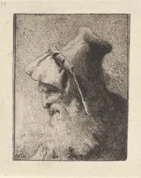 Profilo di un uomo anziano con barba, dalla Raccolta di Teste