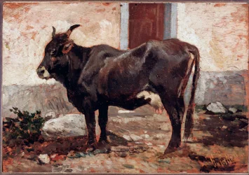 Mucca marrone