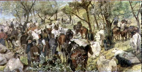 Mercato del bestiame nella Maremma