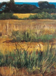 Maremma Toscana, circa 1894 (dettaglio)