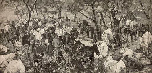 Mercato negli Appennini toscani