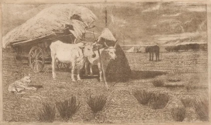 Oxen Yoked to a Cart (Maremma) (Bovi al carro (Maremma))