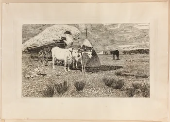 Buoi e carro (Maremma)