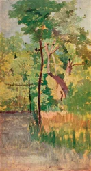 Albero e sentiero nel bosco