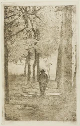 Passeggiata nel bosco con figura