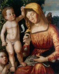 La Madonna sarta