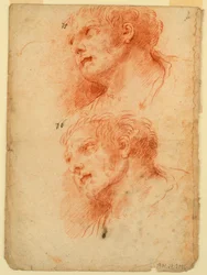 Quattro studi della testa di un uomo