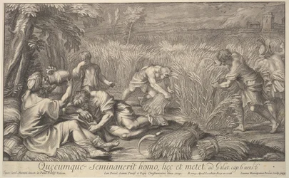Mietitori di grano, 1704