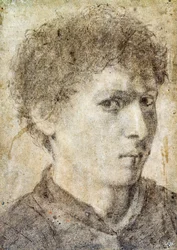 Testa di ragazzo, disegno di Gian Girolamo Savoldo