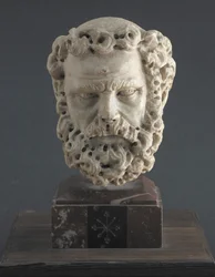 Testa di uomo barbuto