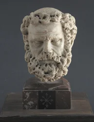 Testa di un uomo barbuto