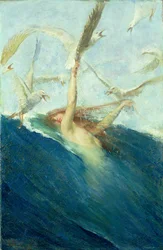 Una sirena assalita dai gabbiani