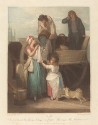 Piselli freschi raccolti, Giovane Hastings