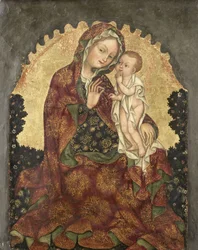 Madonna dell