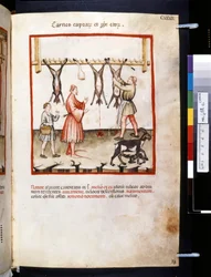 Theatrum sanitatis di Ububchasym de Baldach: 