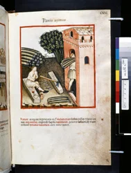 Theatrum sanitatis di Ububchasym de Baldach: 