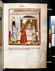 Theatrum sanitatis di Ububchasym de Baldach: 