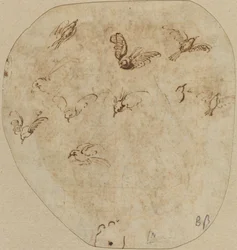 Uccelli in Volo [verso]