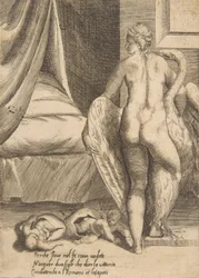 Leda e il cigno, da 