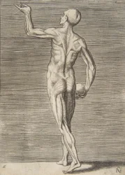 Uomo visto di spalle, con un teschio nella mano destra, XVI secolo