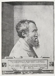Ritratto di Michelangelo di profilo rivolto a destra