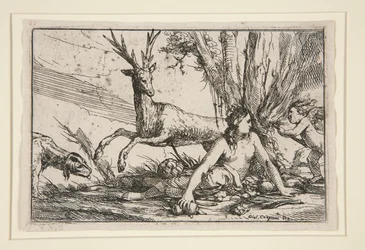 La Terra, dai Quattro Elementi